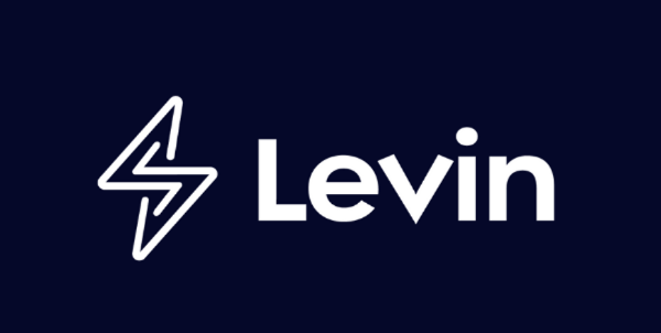 Levin logo small